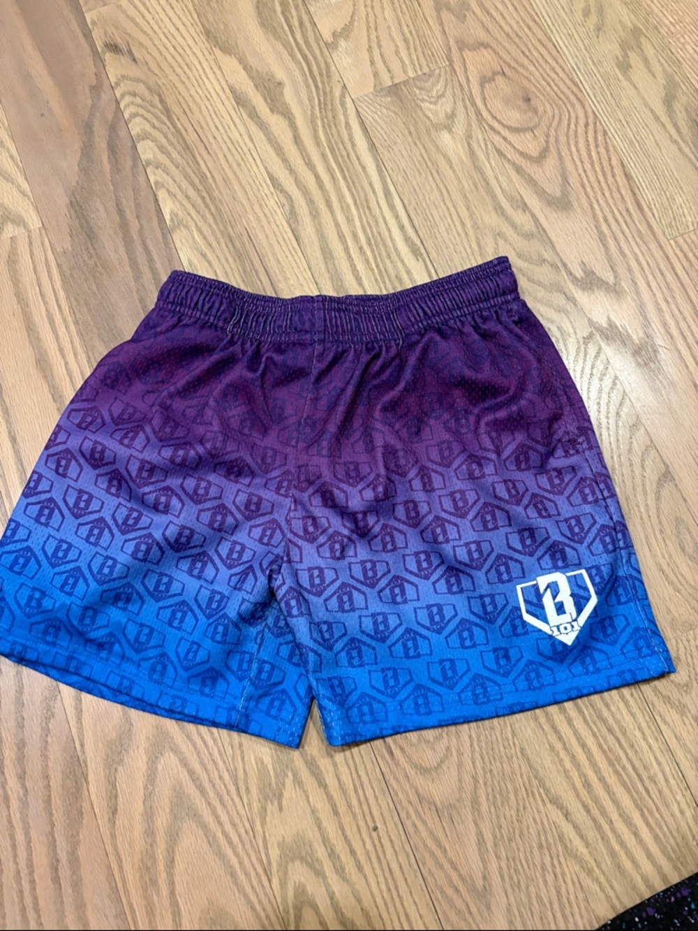 Baseball Lifestyle blue and purple logo short